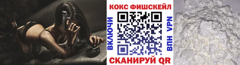 Cocaine FishScale  Купить закладки  Новоузенск 